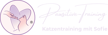 Pawsitive-Training - Katzentraining mit Sofie